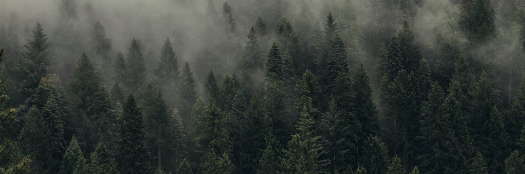 mrveyyy's profile banner image