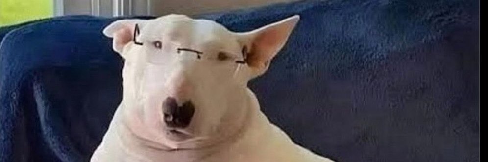 Nevnevlol's profile banner image