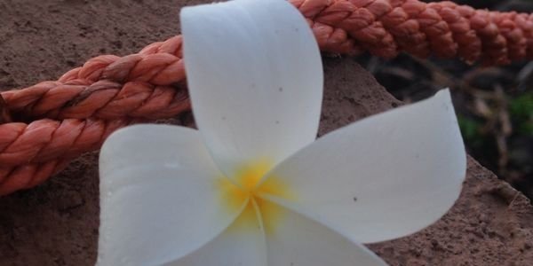 taquirodriguez's profile banner image