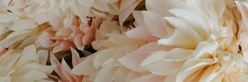 Sidra Forman banner