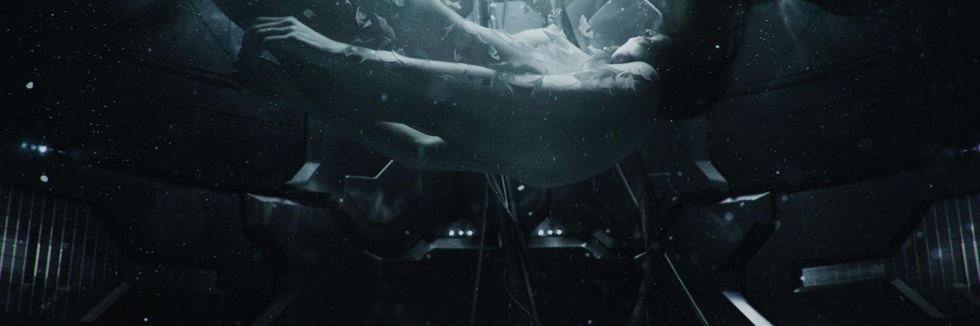 robertnosko's profile banner image