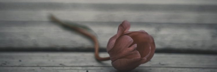 randasaleh3's profile banner image