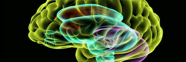 Austin E. Soplata, PhD banner