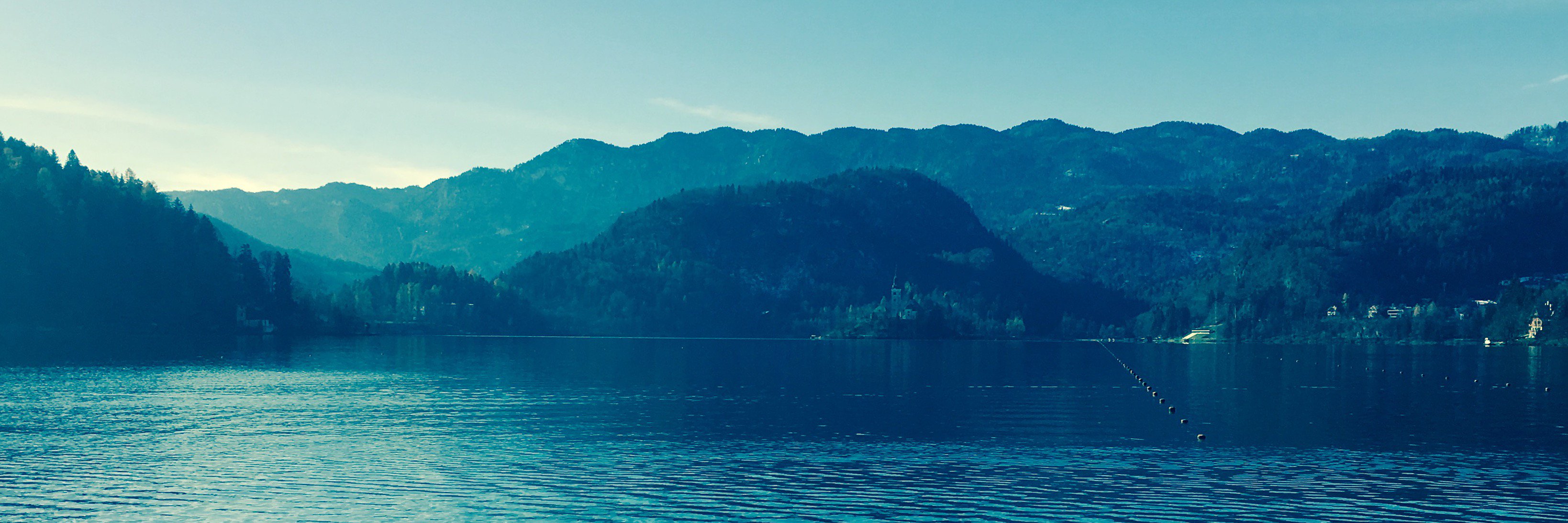 Robert Tomaszewski banner