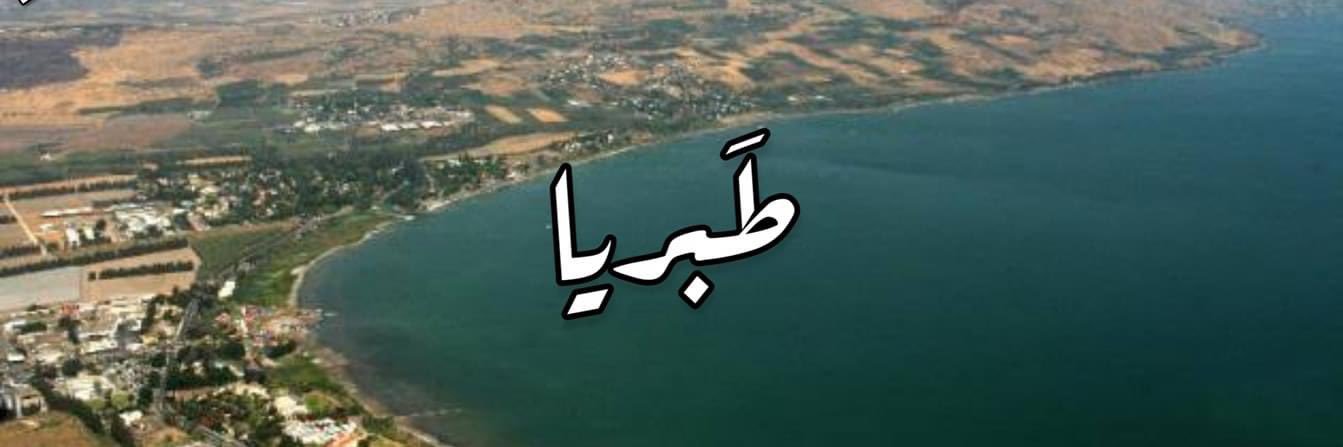 DaliaZiad's profile banner image