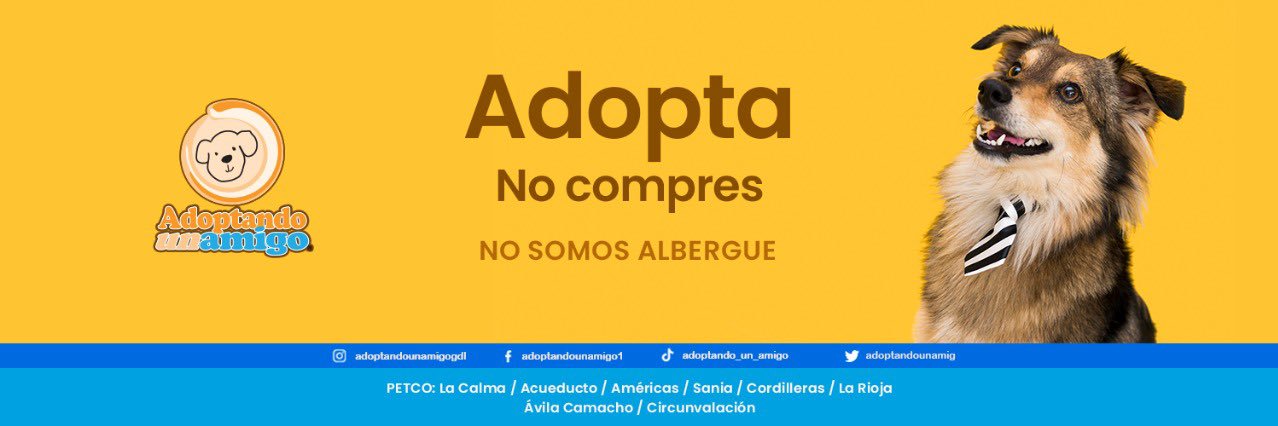 Adoptando un amigo banner