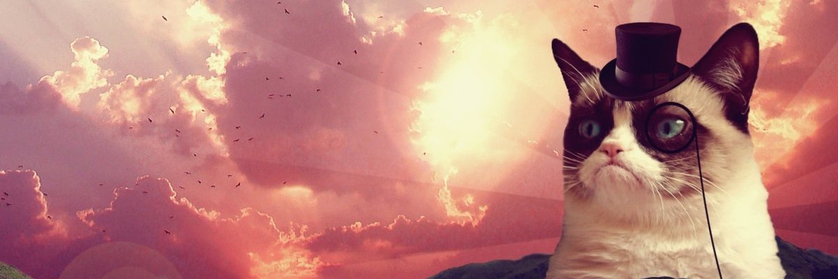 ChyanneFogle's profile banner image