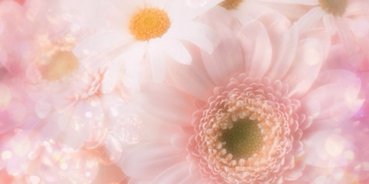 Sweetq8Lady's profile banner image