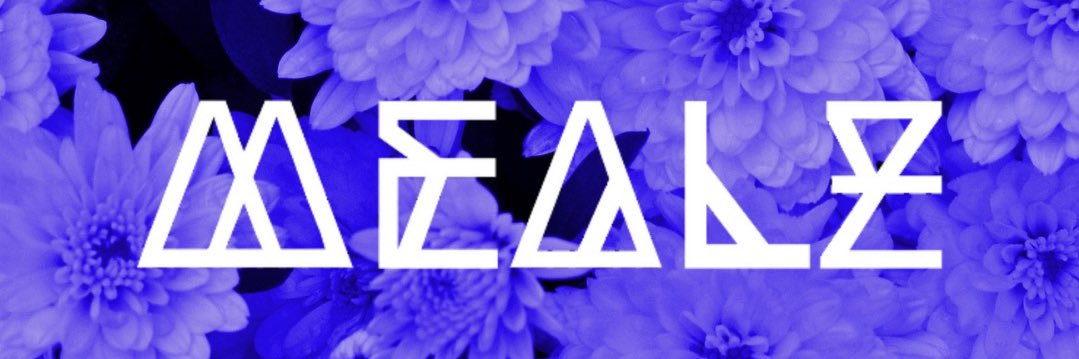 Mealz banner