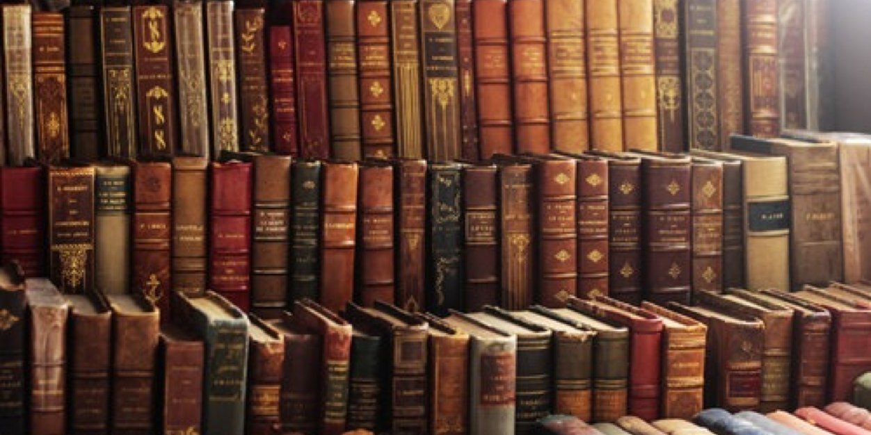 LeilaBenab's profile banner image