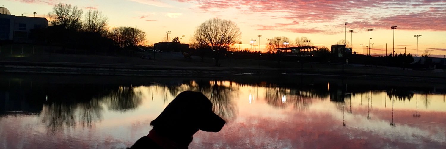 Loganrayne's profile banner image