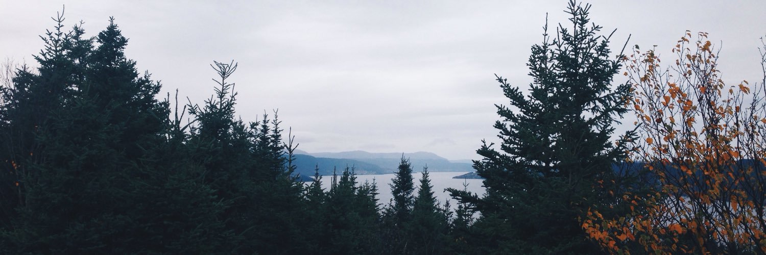 abbeymunch's profile banner image