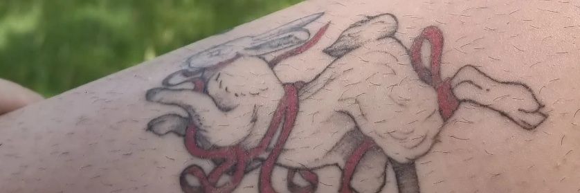 klkl2002's profile banner image