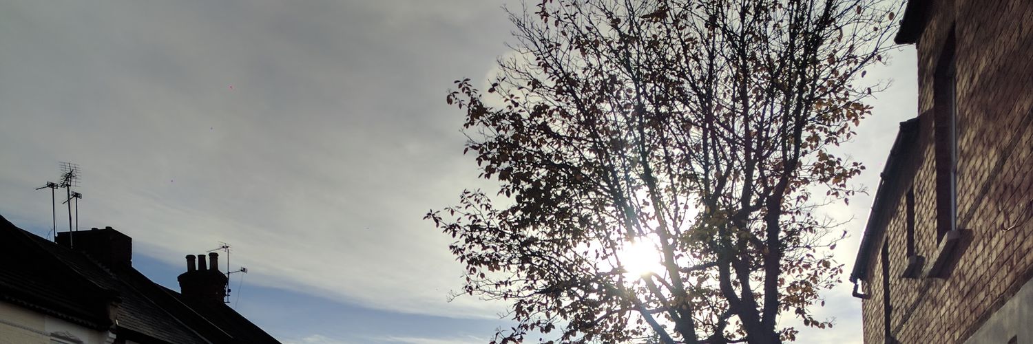 WealthCuriosity.eth banner