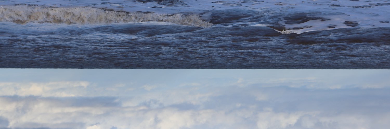 eviewhitehead_'s profile banner image