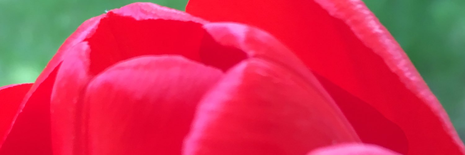 JessicaRaexox's profile banner image