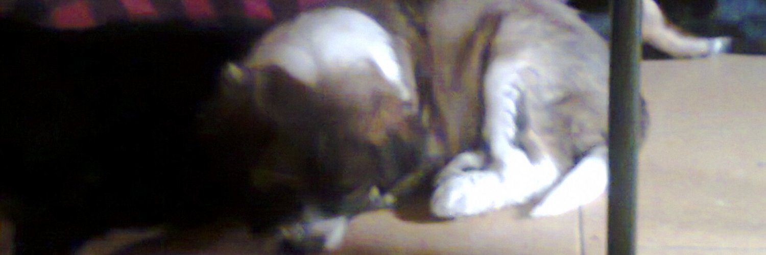 Magui872002's profile banner image