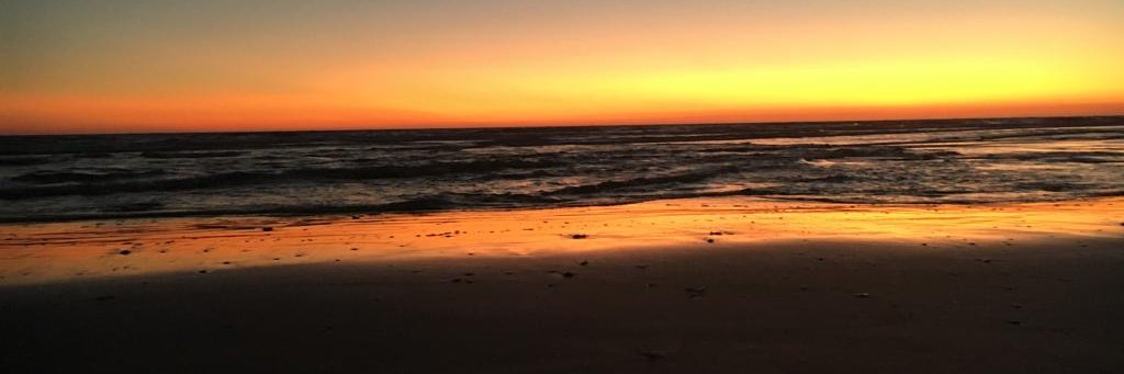 SARUCE's profile banner image