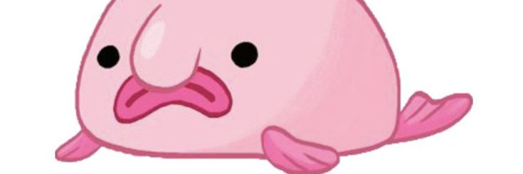 FerretBlobfish's profile banner image