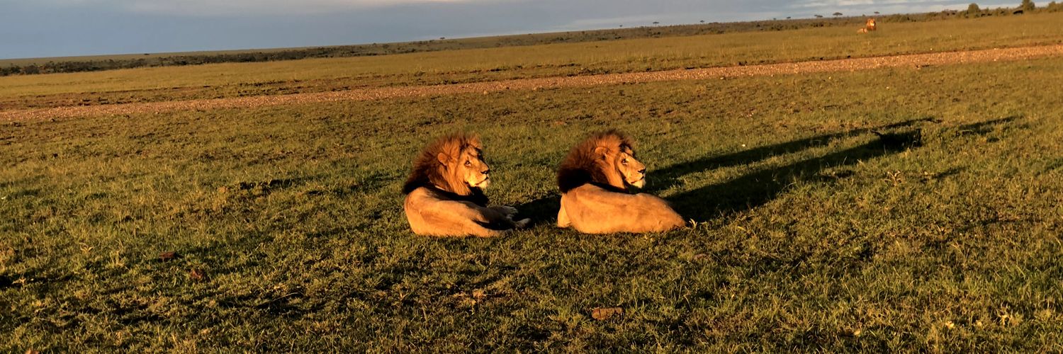 Chris Gray, DO banner