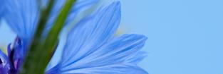 MaganaLorena's profile banner image