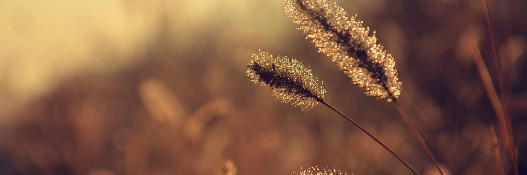 Paula_C89's profile banner image