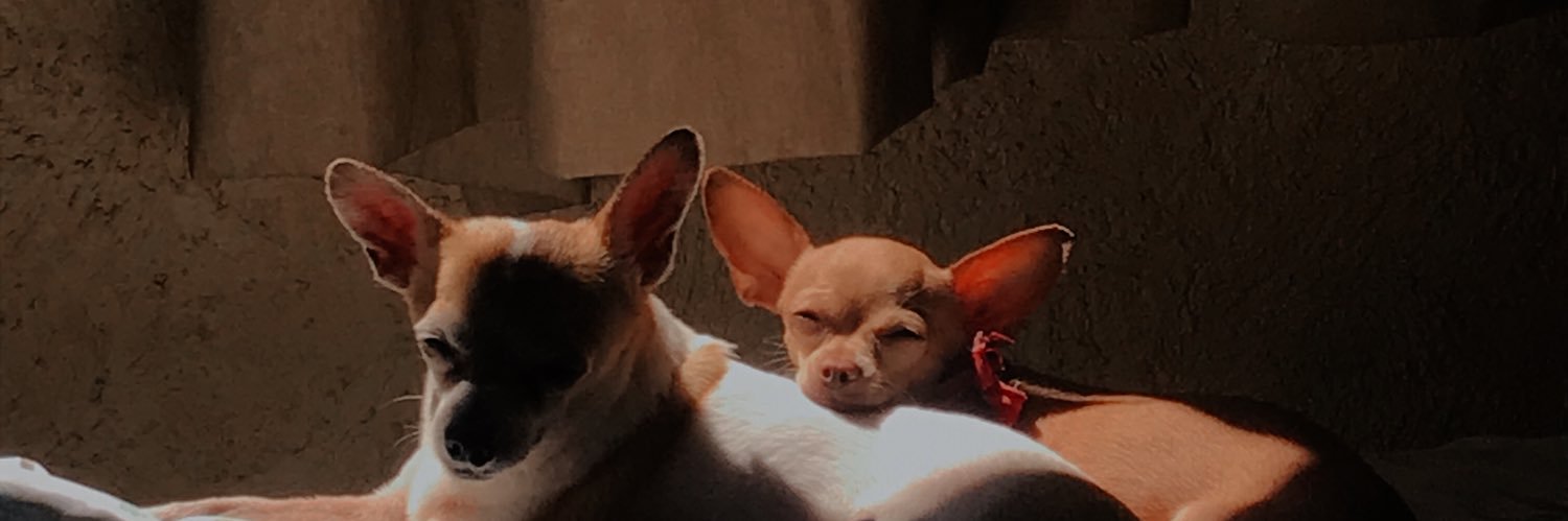 RenataRamirez04's profile banner image