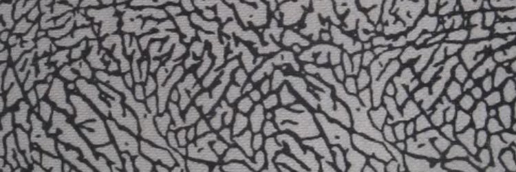 Dantodarello's profile banner image