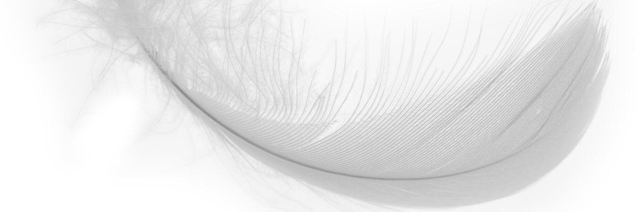 ThorneWrites's profile banner image