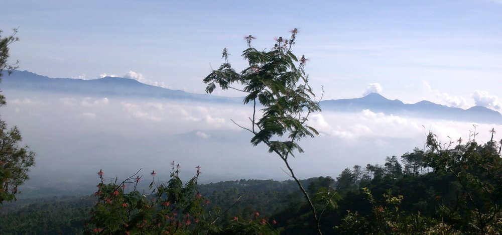Forridwan's profile banner image