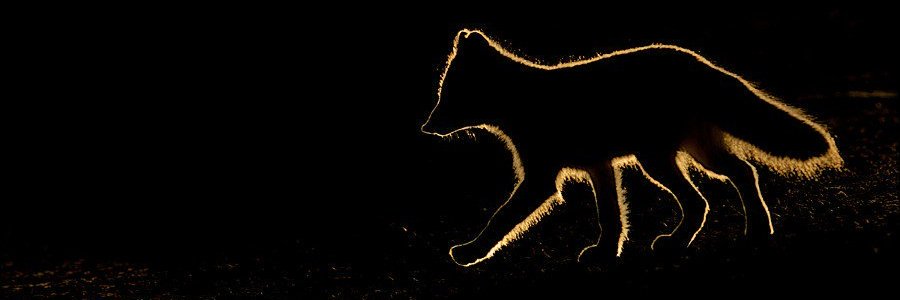 maaaaaaaxy's profile banner image