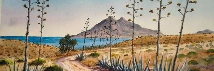 Cesar_basket's profile banner image