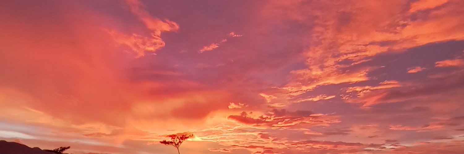 winur_'s profile banner image