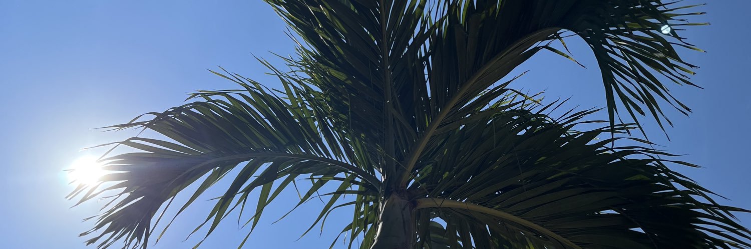 bam_itschelsey's profile banner image