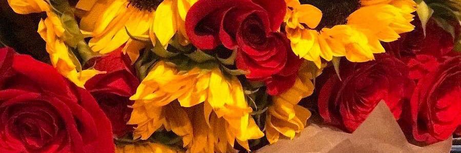 shaigrl27's profile banner image