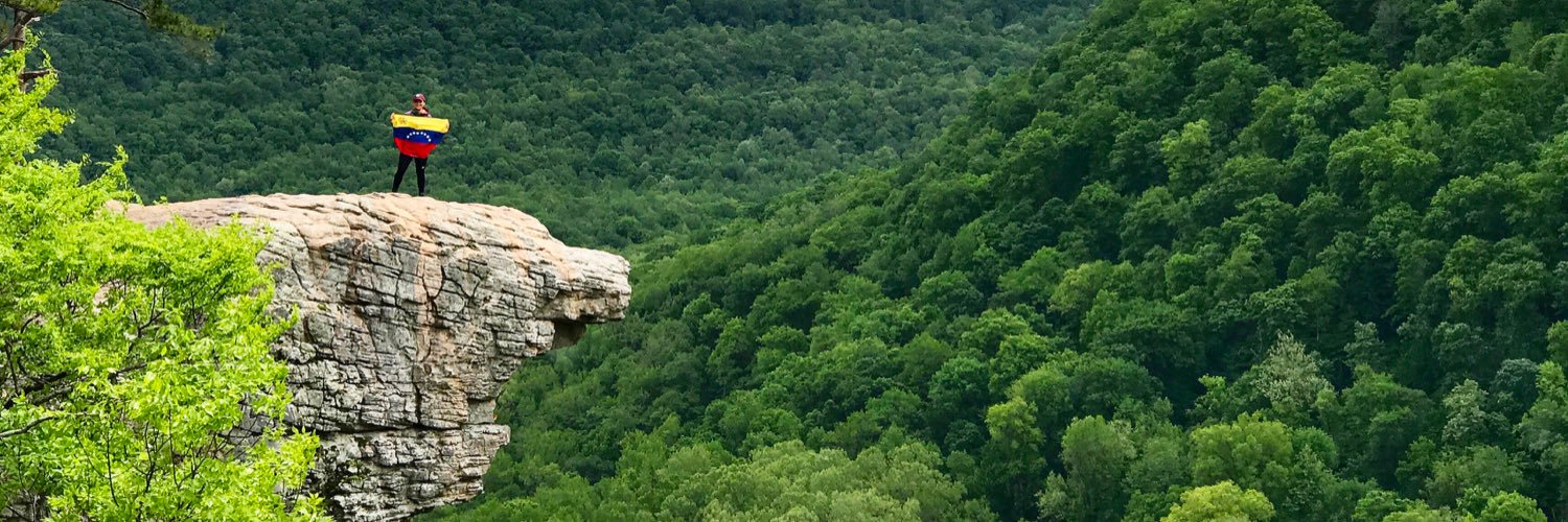 Andrea Barboza banner