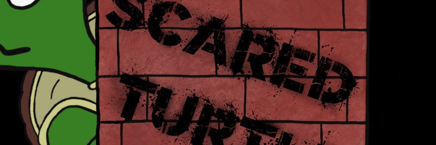 ScaredTurtleTV's profile banner image