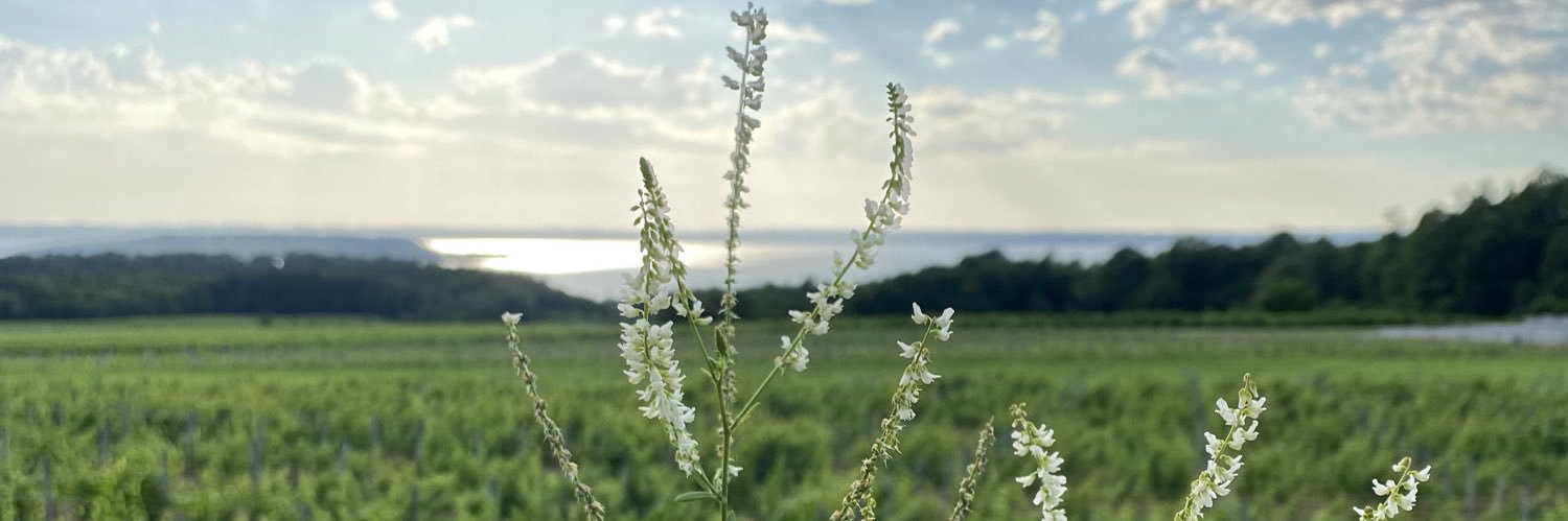 faylovett's profile banner image