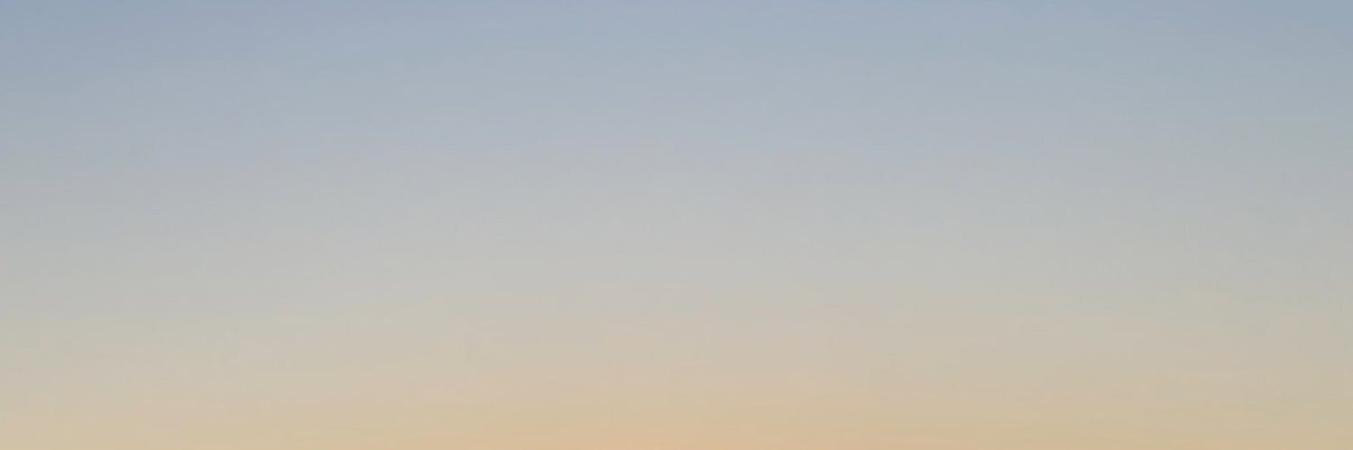laz_carol's profile banner image