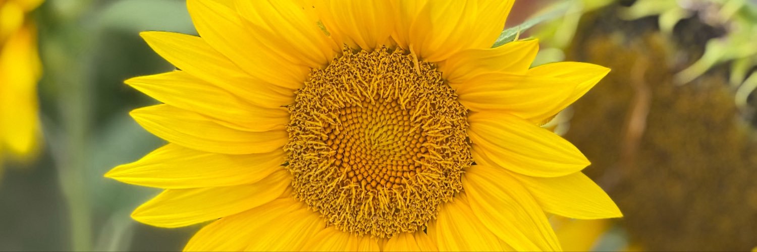 abbilynv's profile banner image