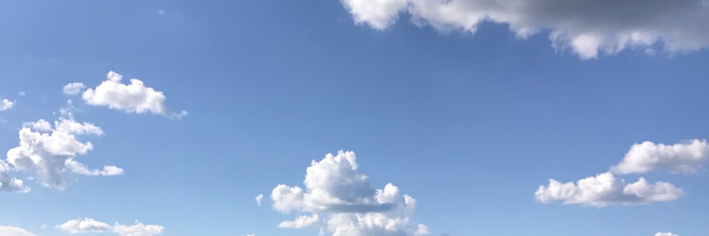 Timothy Curry banner