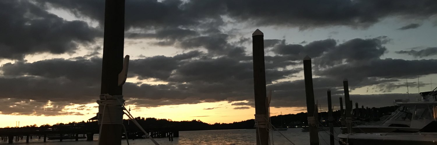 Kelly Colucci banner