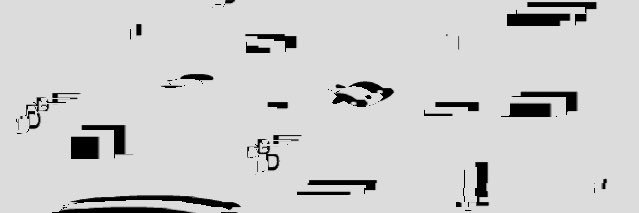 Barris Fishman banner