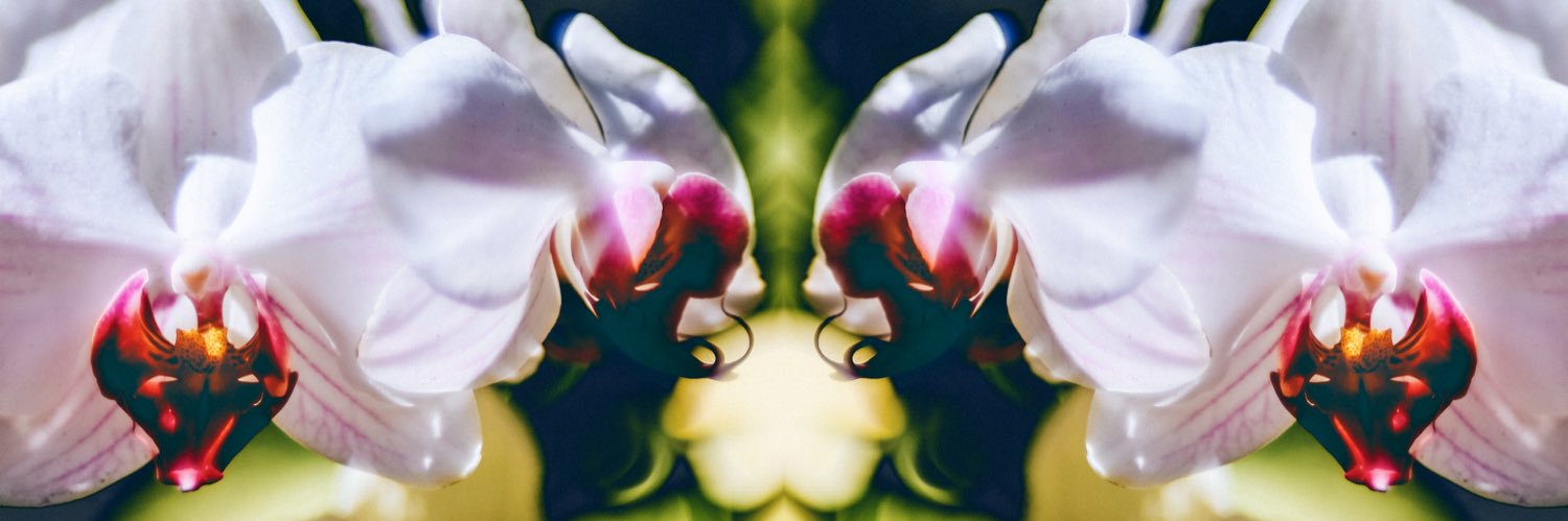 MrAaronKwon's profile banner image