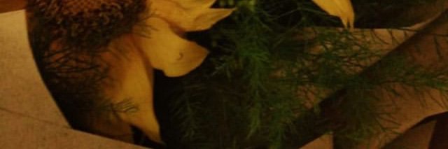 otramericanooo's profile banner image
