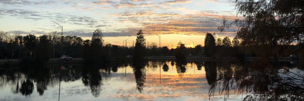 nadimashkieh Profile Banner