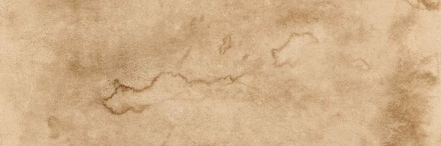 Cecilia Aliaga banner