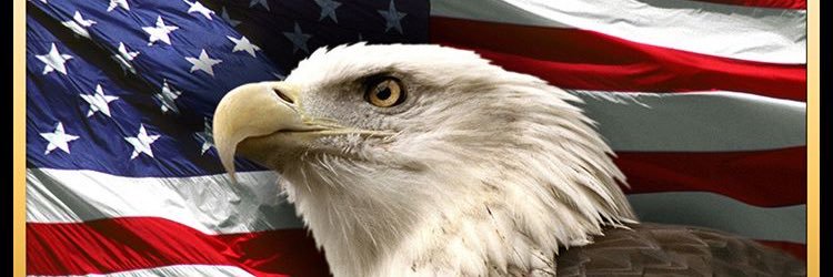 Amanda_Leve's profile banner image
