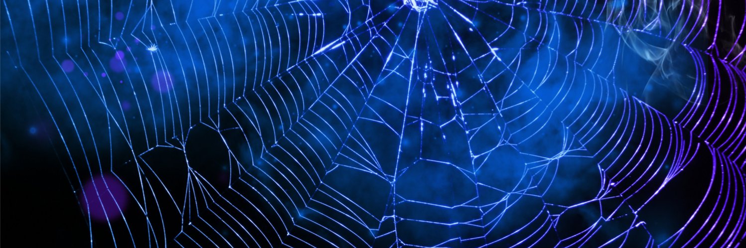 spiderfrost's profile banner image