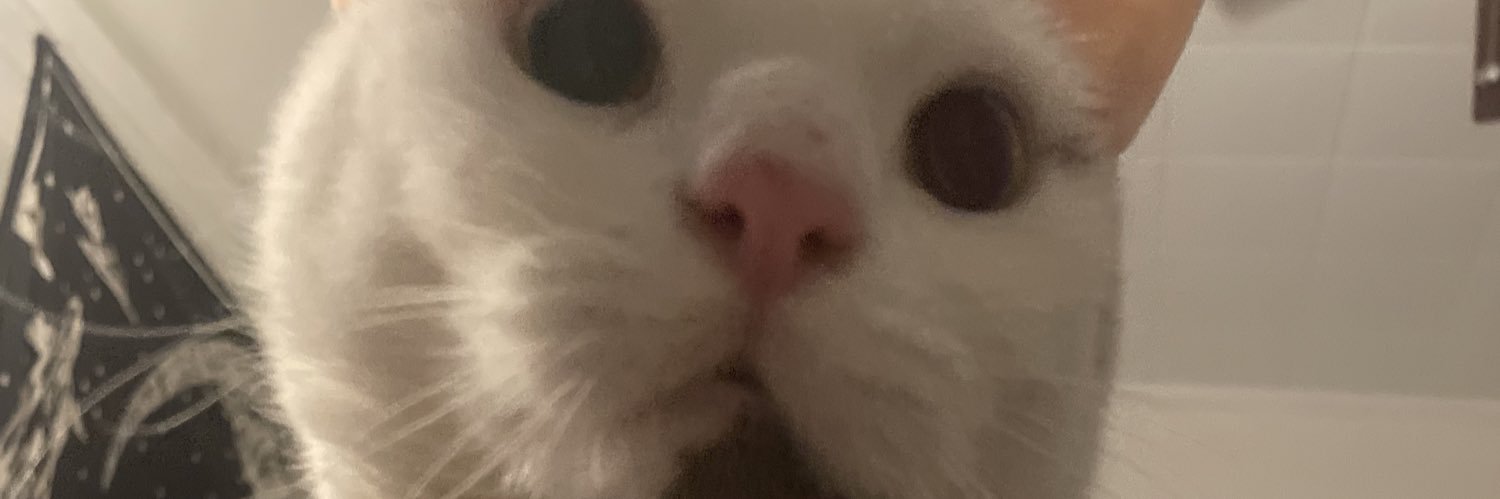 audquarius's profile banner image